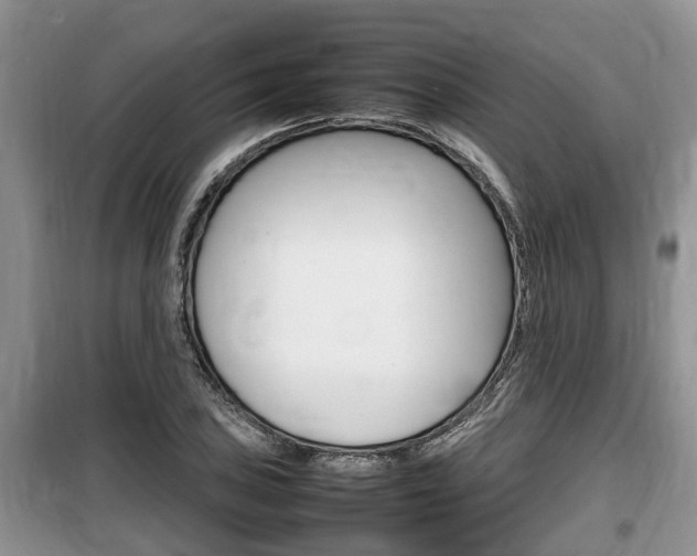 X0000100191027200805300720