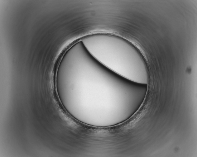 X0000100191030200805300720