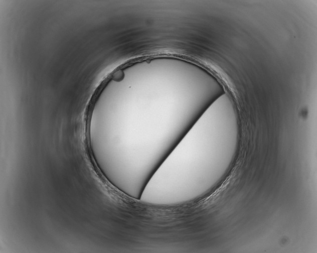 X0000100191031200805300720