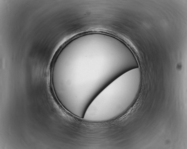 X0000100191032200805300720