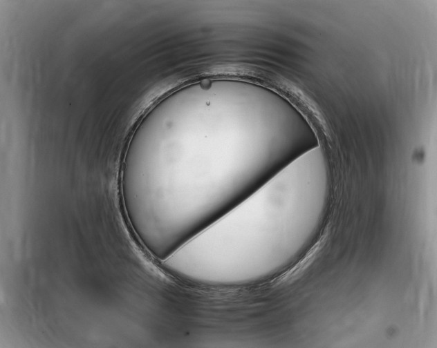 X0000100191033200805300720