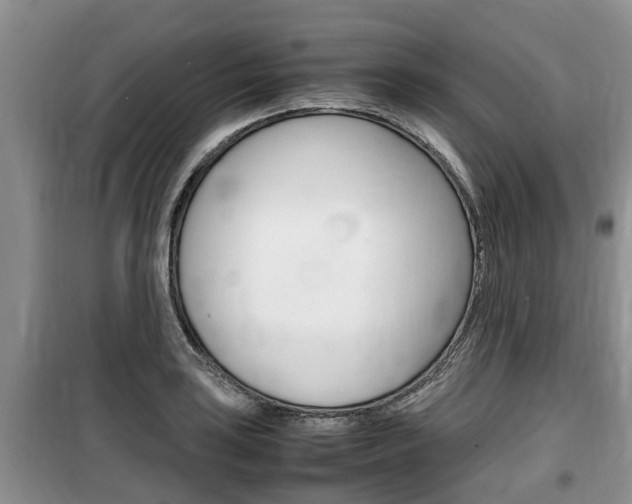 X0000100191035200805300720