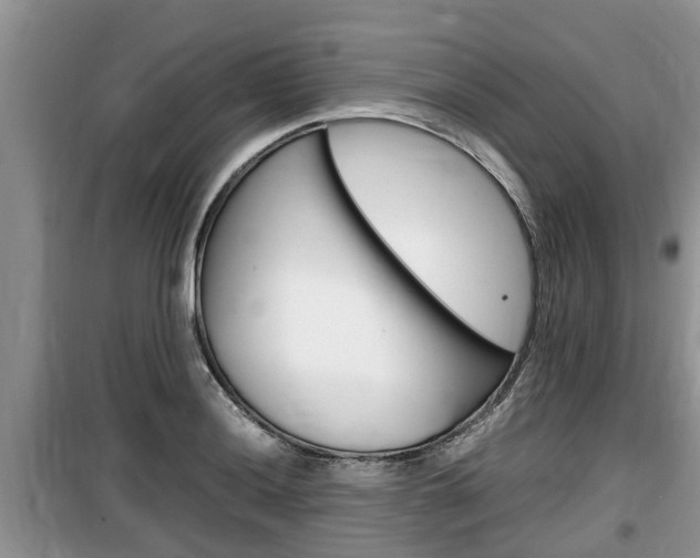 X0000100191036200805300720