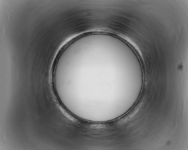 X0000100191037200805300720