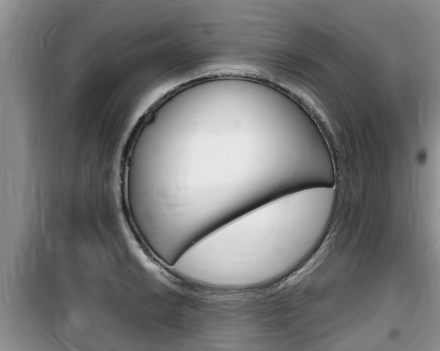 X0000100191038200805300720