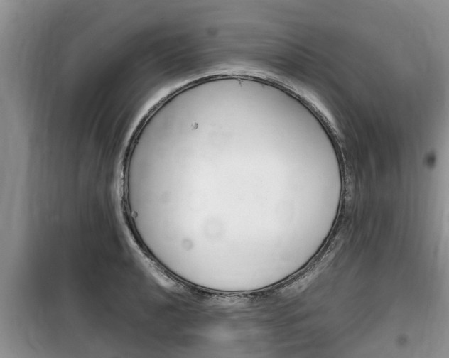 X0000100191040200805300720