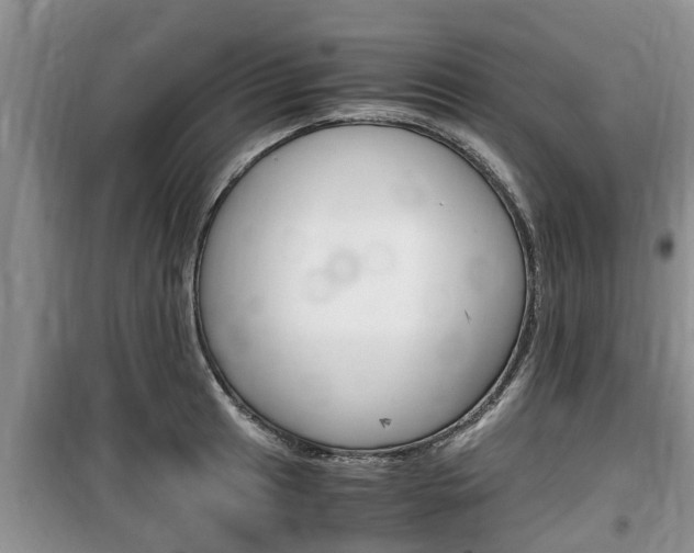 X0000100191041200805300720