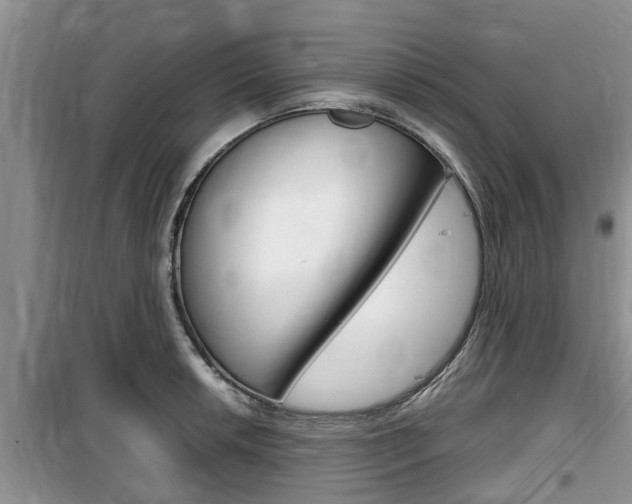 X0000100191042200805300720