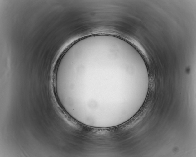 X0000100191043200805300720