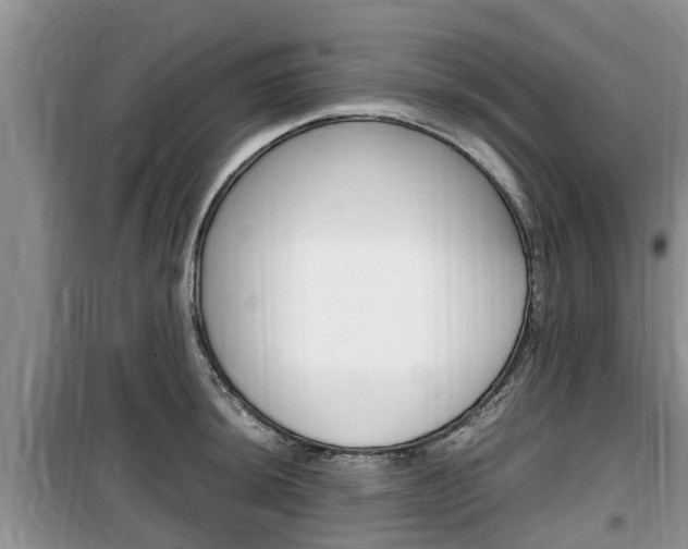 X0000100191044200805300720