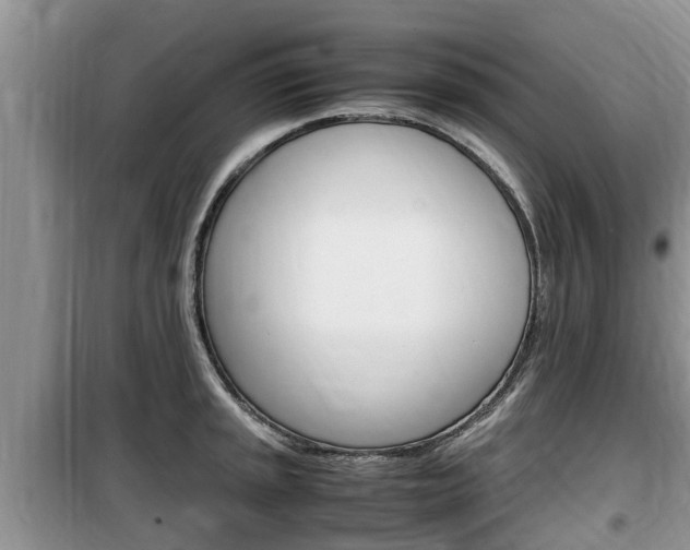 X0000100191045200805300720