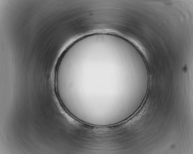 X0000100191046200805300720