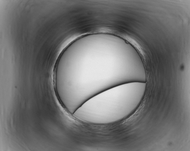 X0000100191047200805300720