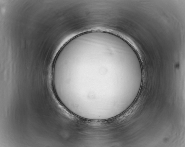 X0000100191048200805300720