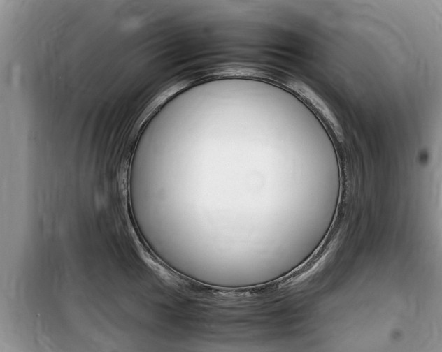 X0000100191049200805300720