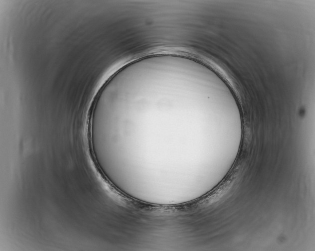 X0000100191050200805300720