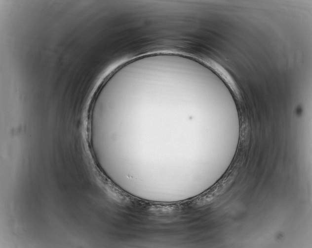 X0000100191051200805300720