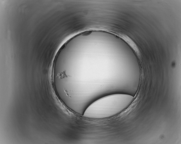 X0000100191052200805300720