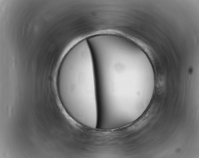 X0000100191054200805300720
