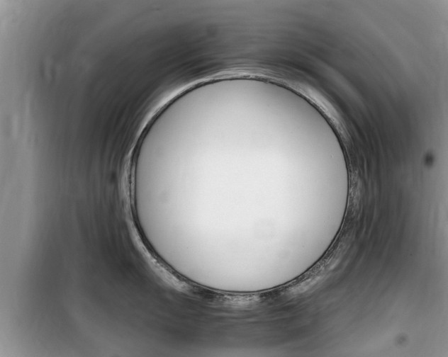 X0000100191055200805300720