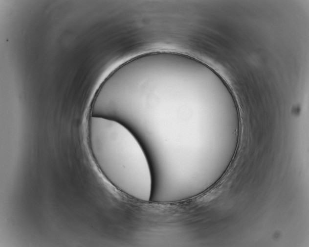 X0000100191056200805300720