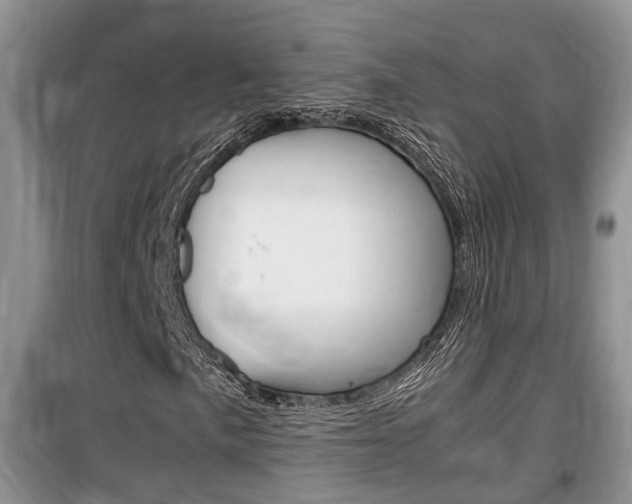 X0000100191057200805300720