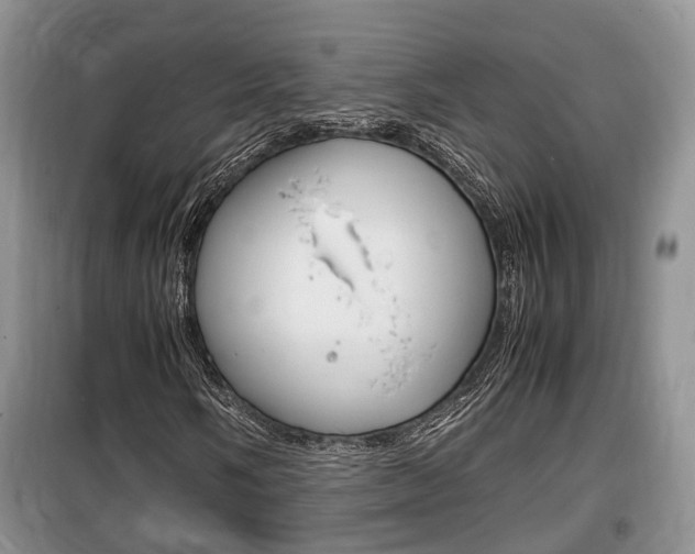 X0000100191058200805300720