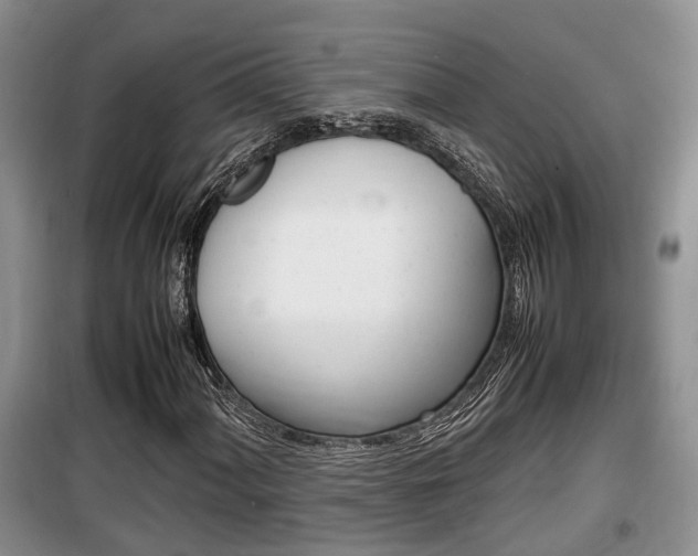 X0000100191060200805300720