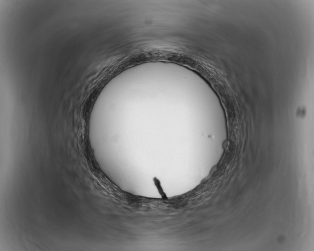 X0000100191061200805300720