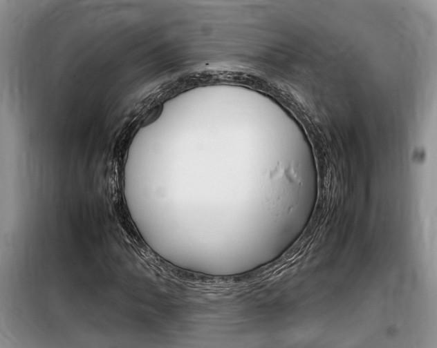 X0000100191062200805300720