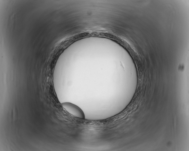 X0000100191063200805300720