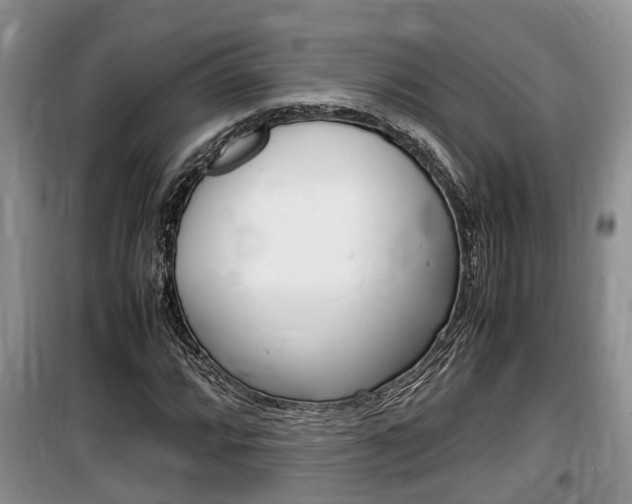 X0000100191064200805300720