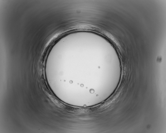 X0000100191067200805300720