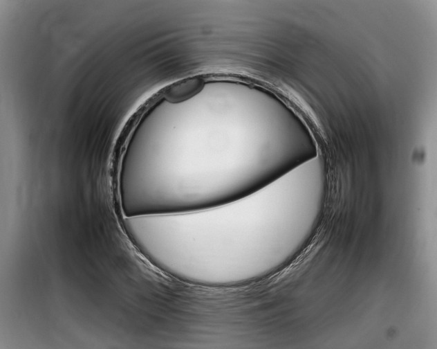 X0000100191068200805300720