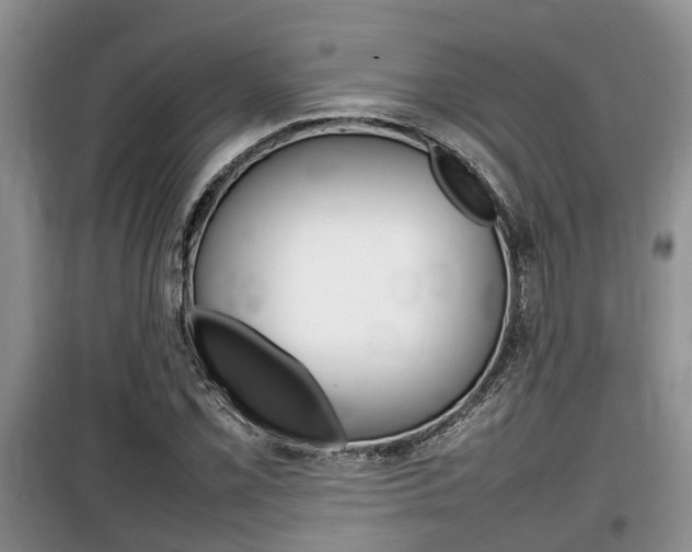 X0000100191069200805300720