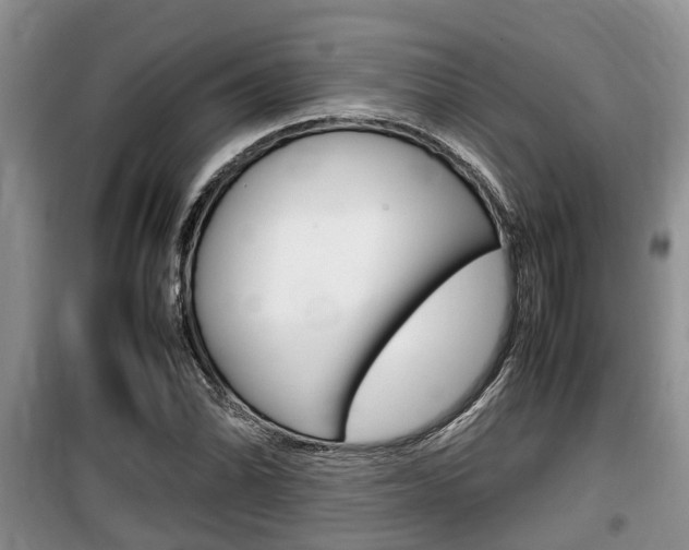 X0000100191070200805300719