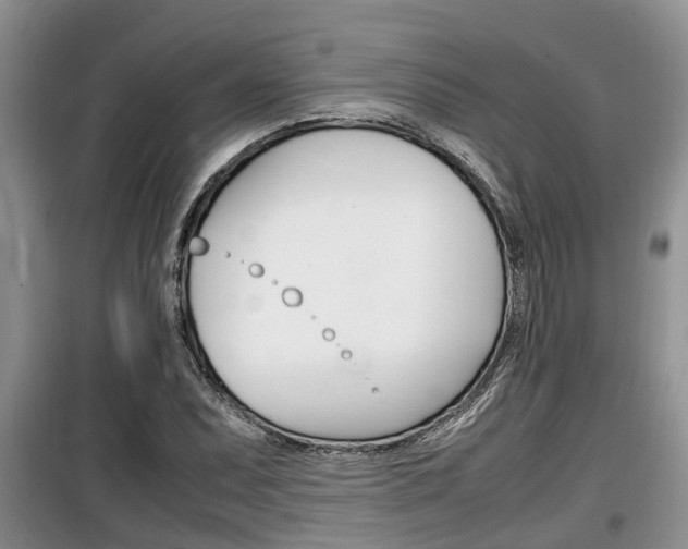 X0000100191071200805300719
