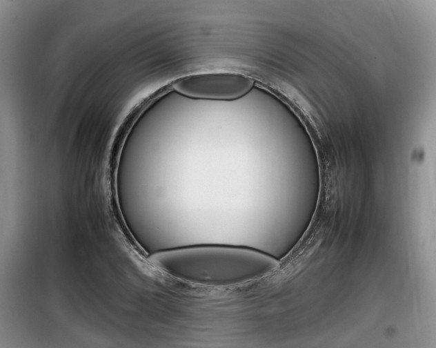 X0000100191072200805300719