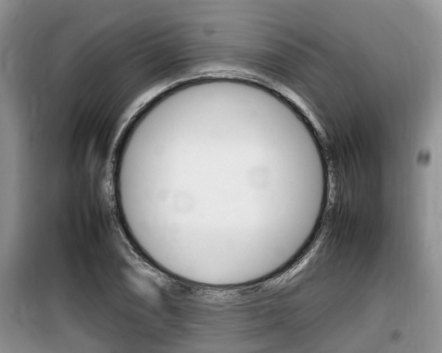 X0000100191074200805300719
