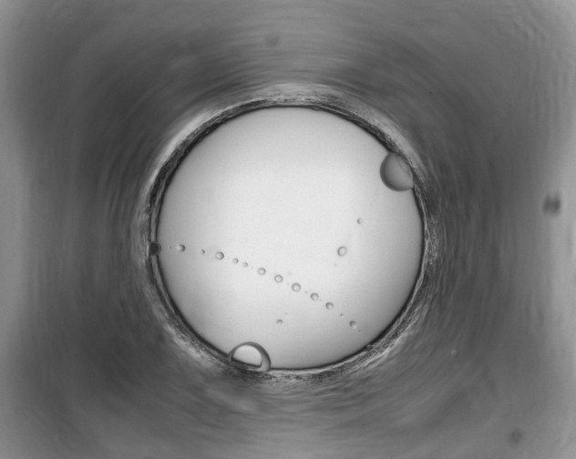 X0000100191075200805300719