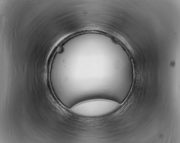 X0000100191076200805300719