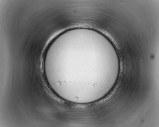 X0000100191078200805300719