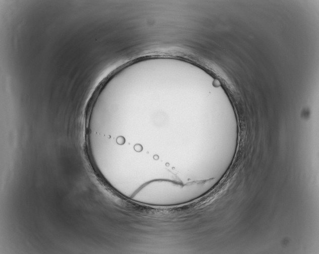 X0000100191079200805300719