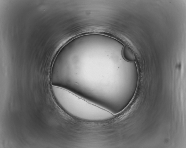 X0000100191081200805300719
