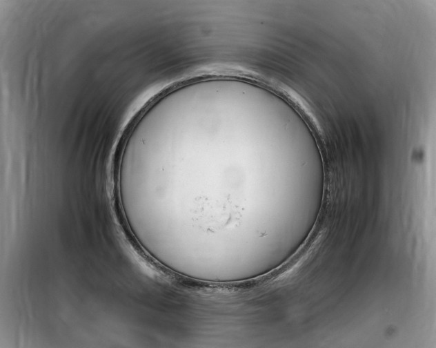 X0000100191082200805300719