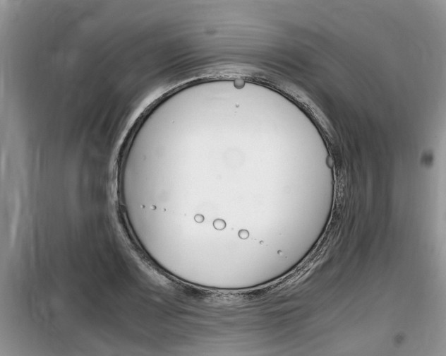 X0000100191083200805300719