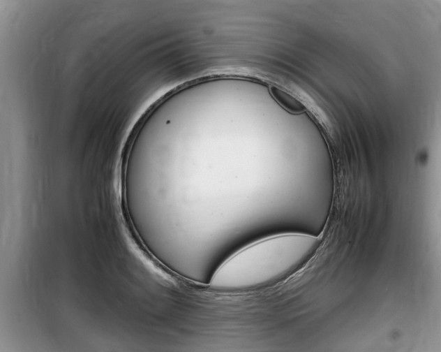 X0000100191084200805300719