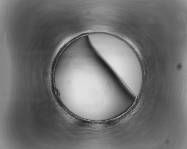 X0000100191085200805300719