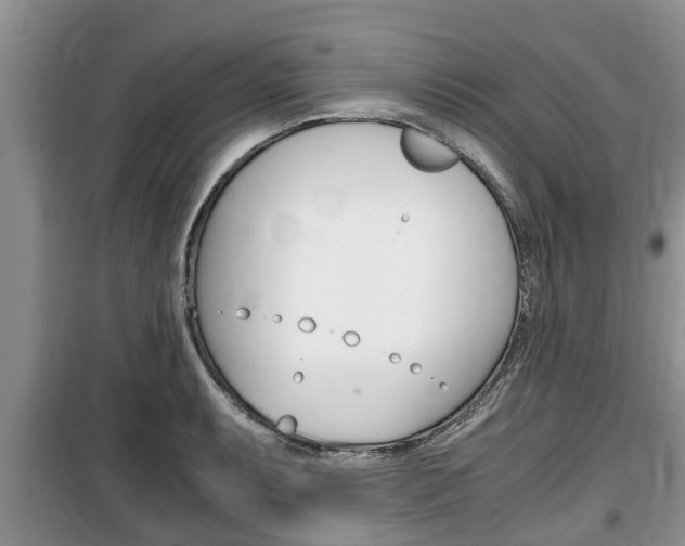 X0000100191087200805300719