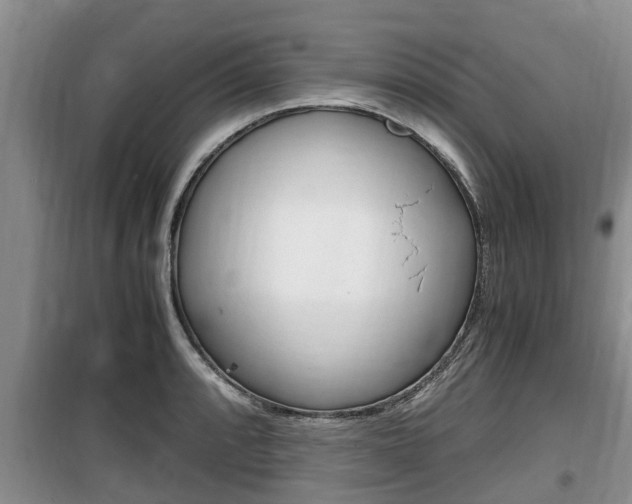 X0000100191088200805300719